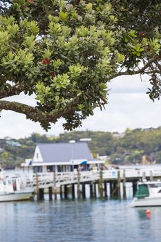 Russell near Paihia, Bay of Islands, New Zealand