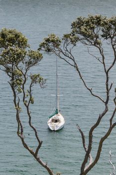 Landscape from Russell near Paihia, Bay of Islands, New Zealand

