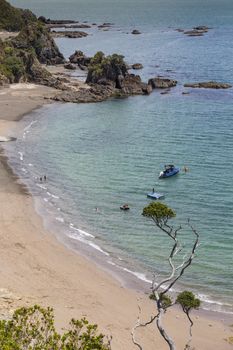 Landscape from Russell near Paihia, Bay of Islands, New Zealand

