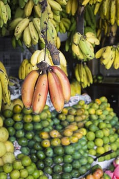 Red, yellow and green bananas hanging for sale at a market, Kandy, Sri Lanka

