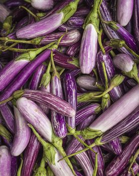 Closeup of Eggplants on vegetable market in Kandy, Sri Lanka.