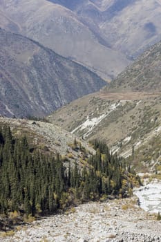 The panorama of mountain landscape of Ala-Archa gorge in the summer's day, Kyrgyzstan.