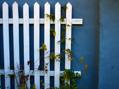 Traditional classic vintage design white wooden fence in front of a blue painted wall