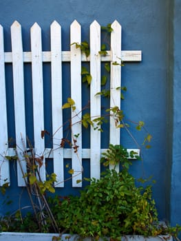 Traditional classic vintage design white wooden fence in front of a blue painted wall