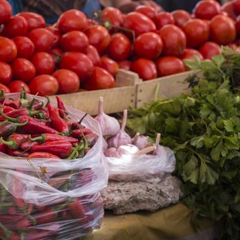 Fresh tomatoes from farm in a basket