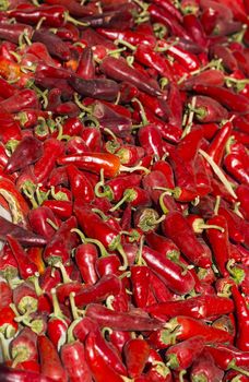 The picture shows a pile of small, red, very hot and spicy chilli peppers on an asian market.