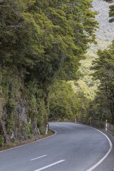 milford road along cleddau valley with the view of fiordland national park. Taken during summer in new zealand.

