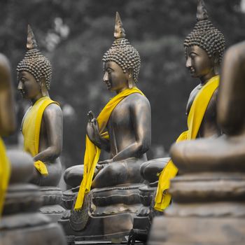 Buddha Statues in Seema Malaka Temple, Colombo, Sri Lanka

