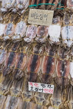 Dried squid in at market in Korea