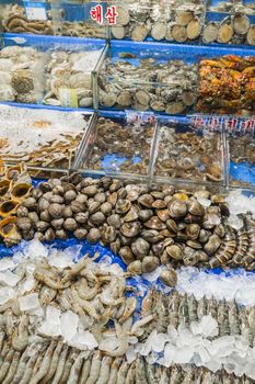 Noryangjin Fisheries Wholesale Market , Expansive wholesale & retail market with stalls offering hundreds of types of fish & seafood.