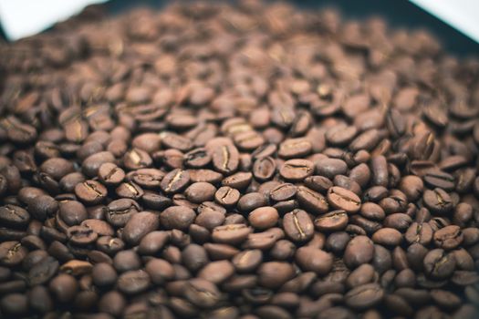 coffee beans lay flat covering the whole screen