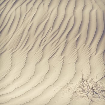 Sand dunes in the Sahara Desert, Morocco