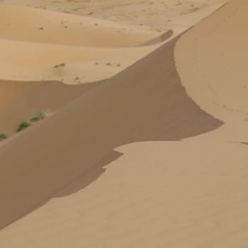 Sand dunes in the Sahara Desert, Morocco