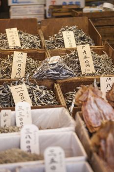 Dried fish, seafood product at market from Japan.

