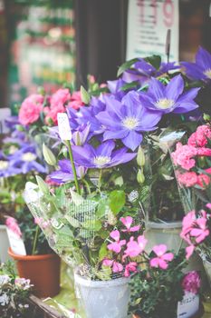 Colorful flower stand on a sidewalk in Paris, France