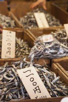 Dried fish, seafood product at market from Japan.

