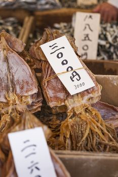 Dried fish, seafood product at market from Japan.

