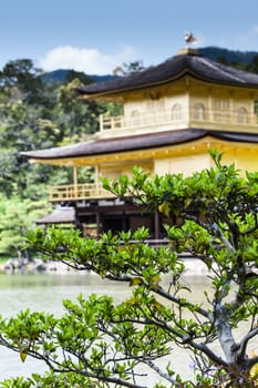 Famous Golden Pavilion in Kyoto (Japan)