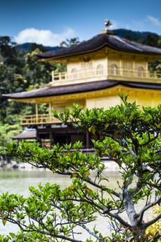 Famous Golden Pavilion in Kyoto (Japan)