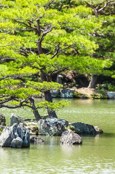Japanese zen garden in kinkakuji temple park, Kyoto 