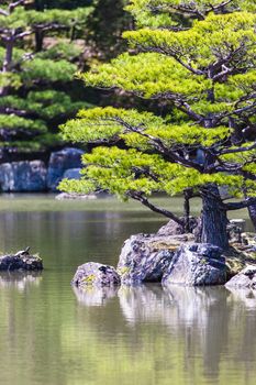 Japanese zen garden in kinkakuji temple park, Kyoto 