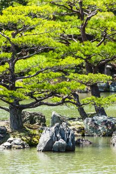 Japanese zen garden in kinkakuji temple park, Kyoto 