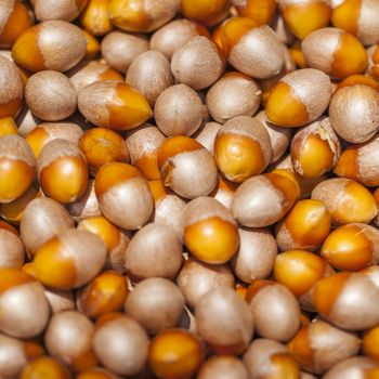 Loose hazelnuts on the market

