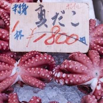 Red live octopus at Tsukiji fish market, Tokyo, Japan

