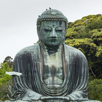 The Great Buddha (Daibutsu) on the grounds of Kotokuin Temple in Kamakura, Japan.

