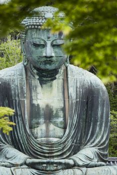 The Great Buddha (Daibutsu) on the grounds of Kotokuin Temple in Kamakura, Japan.

