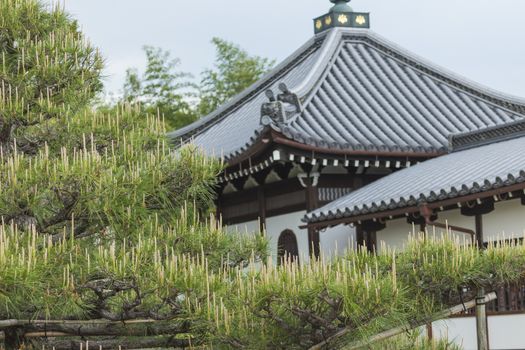 To-ji (East Temple) is a Buddhist temple of the Shingon sect in Kyoto, Japan.