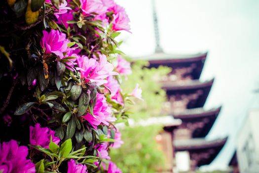 Toji Temple pagoda tower in Kyoto 