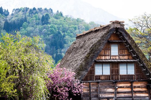 Traditional and Historical Japanese village Ogimachi - Shirakawa-go, Japan 