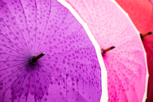 Traditional Asian umbrellas 