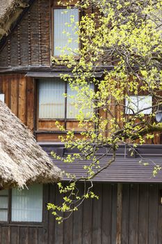 Traditional and Historical Japanese village Ogimachi - Shirakawa-go, Japan

