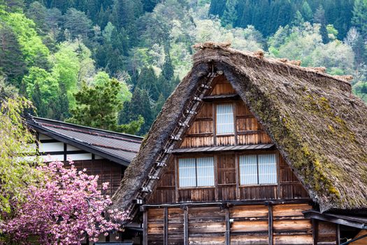 Traditional and Historical Japanese village Ogimachi - Shirakawa-go, Japan 