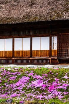 Traditional and Historical Japanese village Ogimachi - Shirakawa-go, Japan 