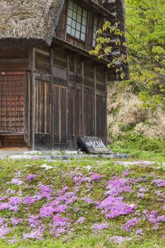 Traditional and Historical Japanese village Ogimachi - Shirakawa-go, Japan

