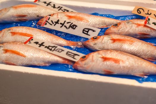  Tsukiji Fish Market, Japan.