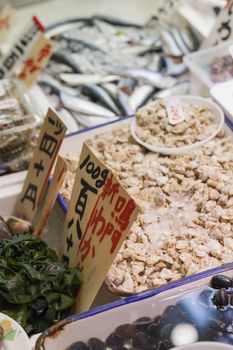 Tsukiji Fish Market, Japan.

