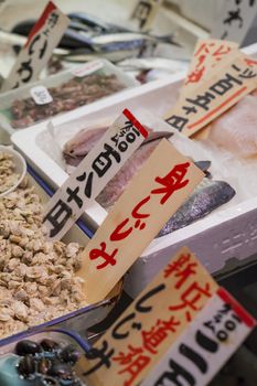 Tsukiji Fish Market, Japan.

