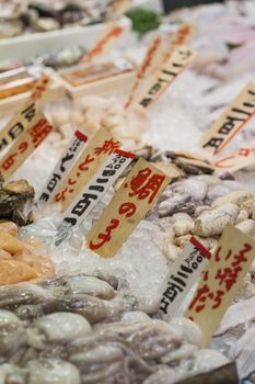 Tsukiji Fish Market, Japan.

