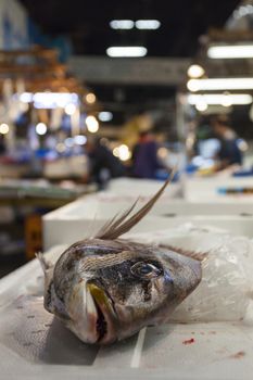 Tsukiji Fish Market, Japan.