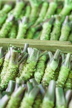 Wasabi root for sale in a typical japanese market


