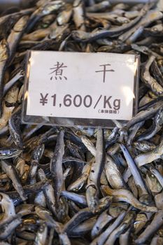 Tsukiji Fish Market, Japan.