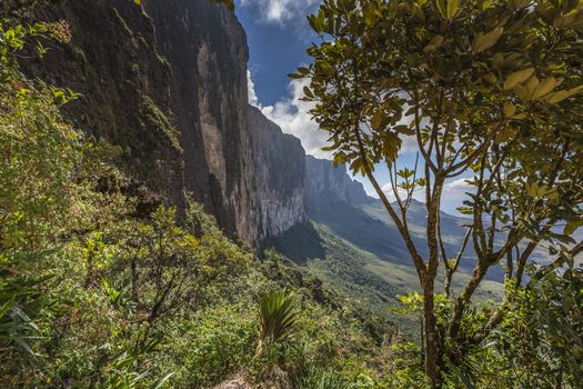 Trail down from the plateau Roraima passes under a falls - Venezuela, South America


