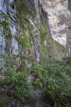 Stream from Mount Roraima in Venezuela

