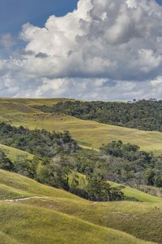 Beautiful landscape characteristic for the Gran Sabana - Venezuela, Latin America

