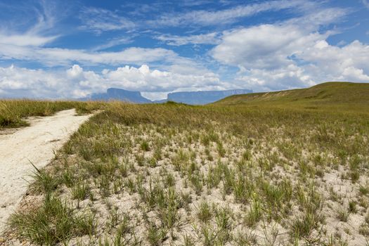 Track to Mount Roraima - Venezuela, South America