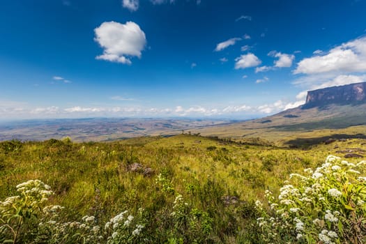 The view from the plateau of Roraima on the Grand Sabana - Venezuela, Latin America 